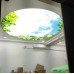 Scratch Fabric Celling with Lighting and Installation with 21 years warranty 